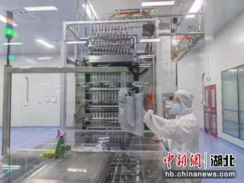 中新網湖北 湖北咸安 開年即開跑 沖刺 開門紅