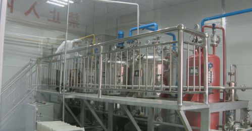 魯甸縣 引進企業精深加工 助力核桃產業轉型升級
