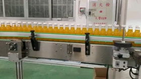 豆漿飲料生產線 豆奶飲料灌裝生產線 全自動瓶裝飲料生產設備 飲料灌裝機 乳酸菌飲料生產設備視頻